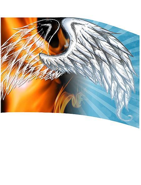 FL7010 Algy Printed Flag 36 x 56